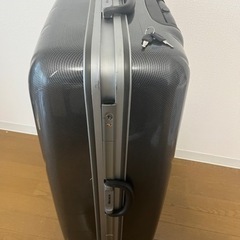 大型　スーツケース Monsca