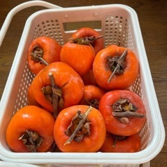 ハチヤ柿　