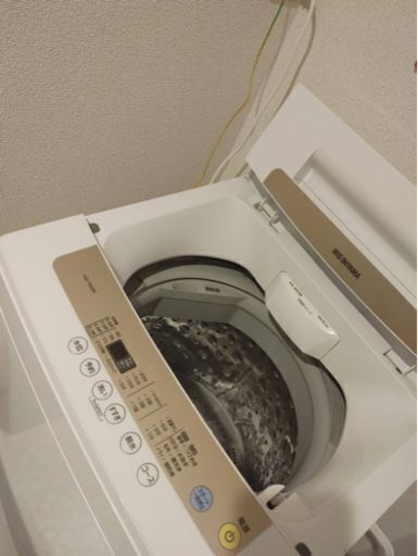 【2024年1月中旬取引希望】アイリスオーヤマ　IAW-T502EN　洗濯機　中古