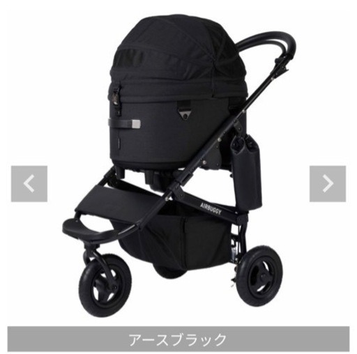 エアバギー DOME3 レギュラー