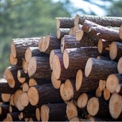 🪵不要な木材をお譲りください🪵