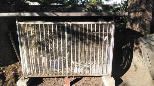 鳥小屋兼　犬小屋
