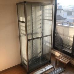 屋内　温室　ガラス製