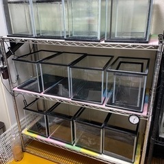 水槽 水槽台 エア配管 飼育一式！