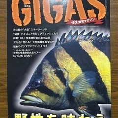 大型魚専門誌　GIGASギガス中古本売ります。
