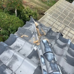 屋根の棟の修理下見