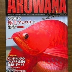 AROWANA LIVE vol.009(中古本)売ります。