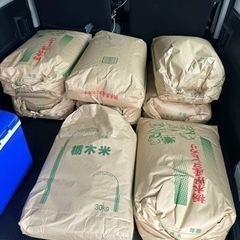 令和4年度　古米　栃木県産　コシヒカリ白米24kg/袋🌾