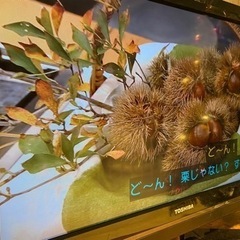 32型液晶テレビ 東芝REGZA 32R1