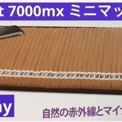 【ネット決済】ほぼ未！richway リッチウェイ 宝石温熱バイ...