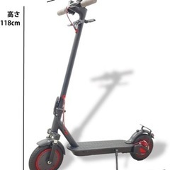 大人用キックボード 敷地内遊具として⭐︎