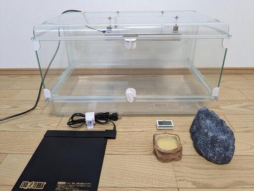 ヒョウモントカゲモドキ飼育セット
