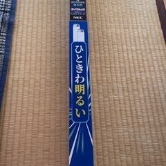 蛍光ランプ　２０形　２本入り【Ｒ5.１１.２８　引き渡し済み】