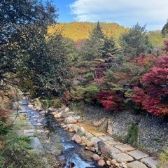 温泉仲間募集