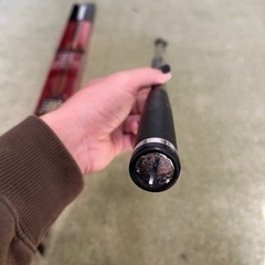 極翔　1.2 530   BB-X. DESPINA 2500DXG 