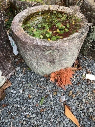 水鉢　庭園　ガーデニング