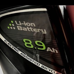 前後子供乗せ　電動自転車