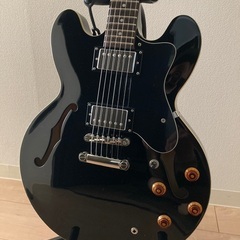 EPIPHONE DOT EB 専用ハードケース付