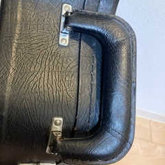 EPIPHONE DOT EB 専用ハードケース付