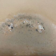 【Saltarelli Mobili】 サルタレッリ モビリ 4段チェスト リビングボード ローボード ②