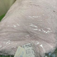 ジェラートピケ　プリンパーカー&ショートパンツセット　レディース(フリーサイズ) GELATOPIQUEポケモン　