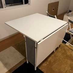 IKEA KALLHALL折りたたみテーブル & FRÖSVIフロースヴィチェア IKEA KALLHALL折りたたみテーブル & FRÖSVIフロースヴィチェア