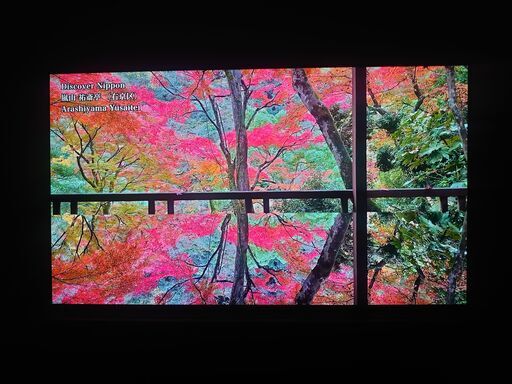 値下げしました③SONY BRAVIA 55型 4K有機ELﾃﾚﾋﾞ