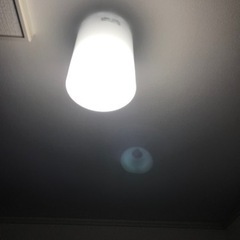 家具　照明器具　廊下、トイレ用　電球は自人感センサー付き