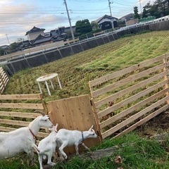 防府市　ドッグラン - 防府市