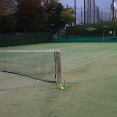 横浜市金沢区の硬式テニスサークルでメンバー募集(土日祝、40、5...