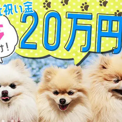 【入社祝金20万円！？】シフト自由・勤務地多数・週払いOK！働き...