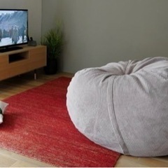 フェットサックL / Cord Velours ベロア プラチナ vetsak