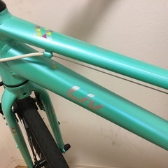 ジャイアントLiv 24インチ