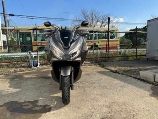 美車❗️ ちょいノリの王者PCX125