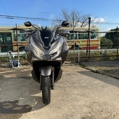 【ネット決済】美車❗️ ちょいノリの王者PCX125