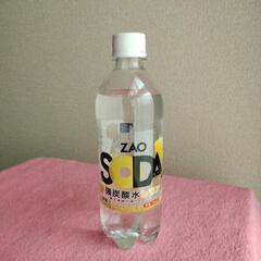 強炭酸水レモン(５００ml✕２４本)✕２箱
