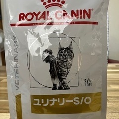 猫用フード ロイヤルカナンS/O 2キロ