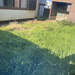 千葉県銚子市愛宕町の戸建てで草刈りをお願いしたいです。