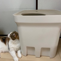 猫用トイレ差し上げます