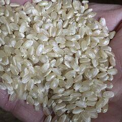 【1】玄米　３０ｋｇ　古米（２０２２年収穫）売ります。