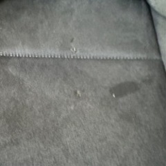 TRD セミバケットシート　