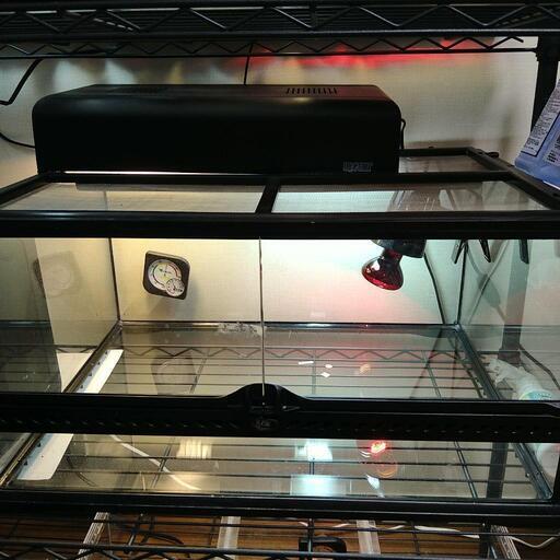 爬虫類ケージセット②