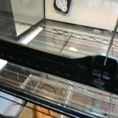 爬虫類ケージセット②