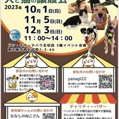 12月3日　ドン・キホーテパウ石切店　犬と猫の合同譲渡会