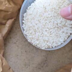 新米　玄米　ヒノヒカリ30kg