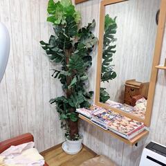 お店のインテリア　造花