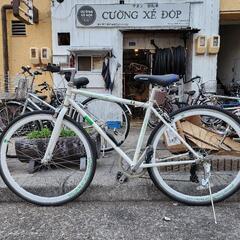 🎏🎏 クロスバイク 700x28c 7変速 白 配達可能