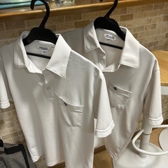 お譲りします‼️桂中学校夏服半袖Tシャツ2枚セット