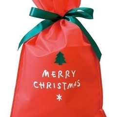 クリスマス　プレゼントの袋　10枚セット