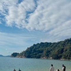 ✨️12月海岸の清掃活動します!!一緒に宮島の海を綺麗にしませんか？？